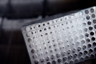 Nightingale Health laboratory sample rack.