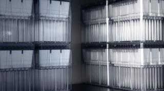 Multiple laboratory sample racks on the shelf.