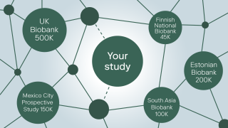 ReBu Your study Hero